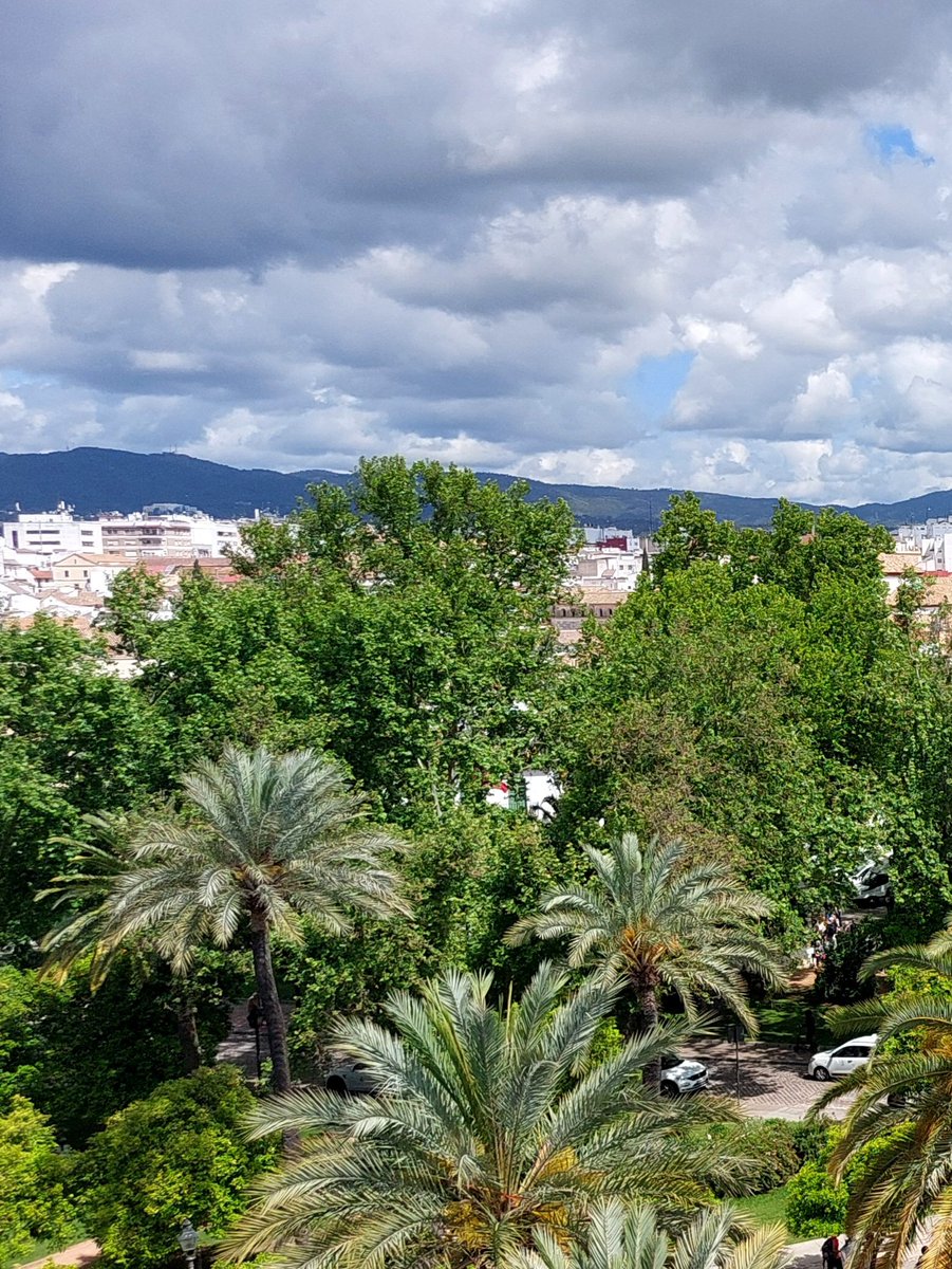 GabrielCojoc's tweet image. The Mezquita Catedral de Córdoba view from Torre de los Leones - Alcázar de los Reyes Cristianos #photography #Cordoba #Mezquita #Andalucia #Andaluzia #Spania #Espagne