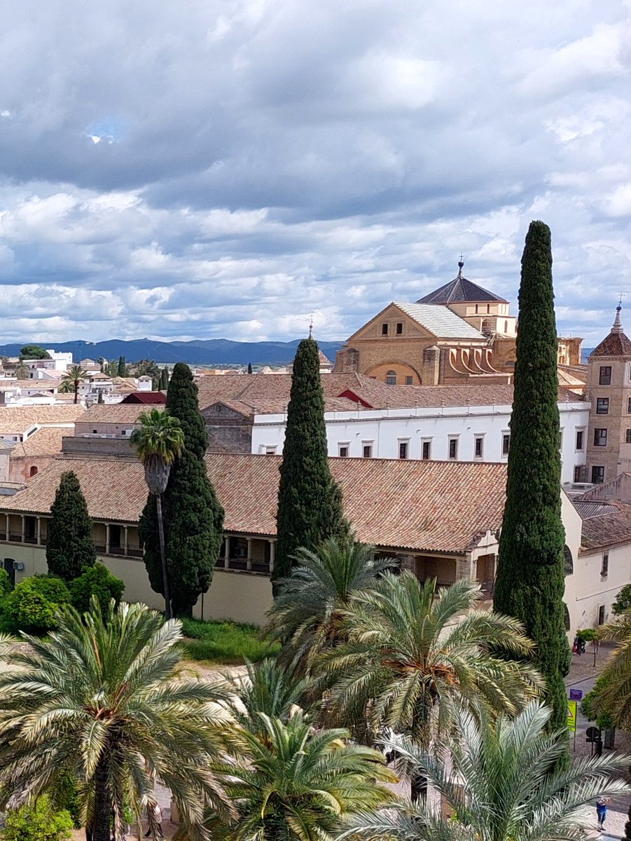 GabrielCojoc's tweet image. The Mezquita Catedral de Córdoba view from Torre de los Leones - Alcázar de los Reyes Cristianos #photography #Cordoba #Mezquita #Andalucia #Andaluzia #Spania #Espagne