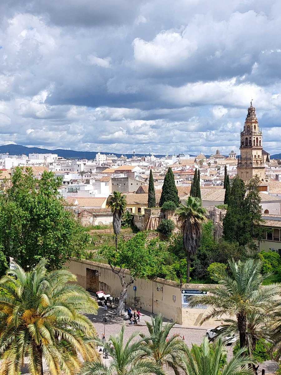 GabrielCojoc's tweet image. The Mezquita Catedral de Córdoba view from Torre de los Leones - Alcázar de los Reyes Cristianos #photography #Cordoba #Mezquita #Andalucia #Andaluzia #Spania #Espagne
