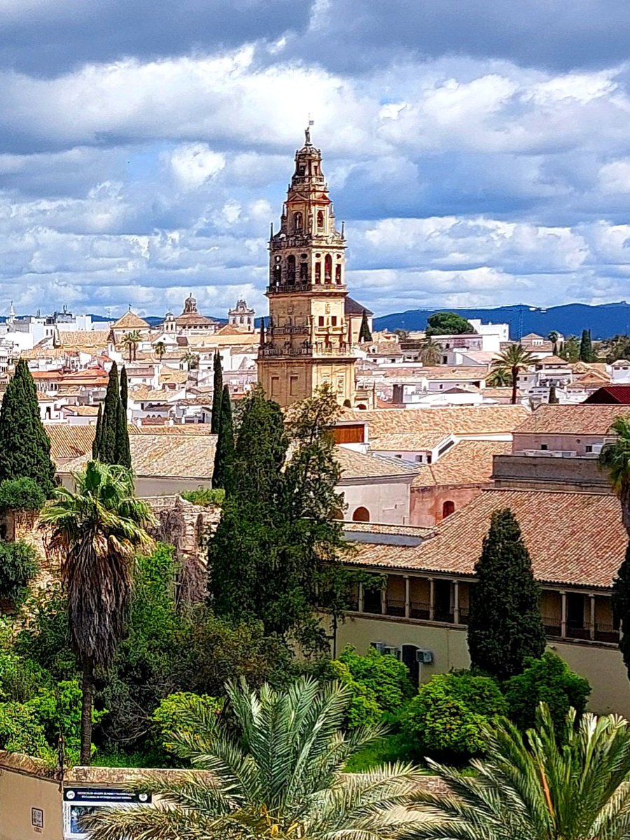 GabrielCojoc's tweet image. The Mezquita Catedral de Córdoba view from Torre de los Leones - Alcázar de los Reyes Cristianos #photography #Cordoba #Mezquita #Andalucia #Andaluzia #Spania #Espagne
