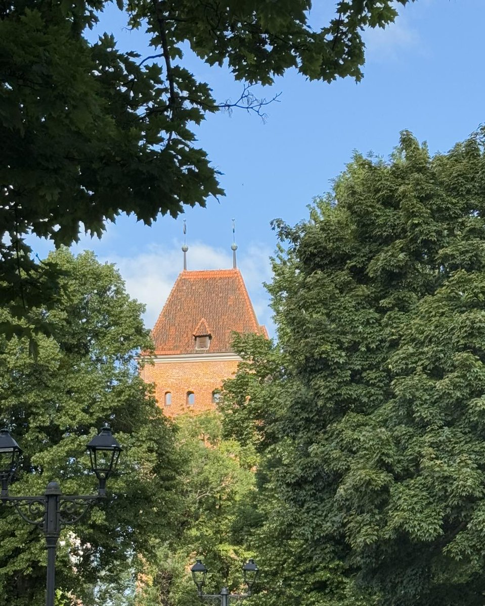 Skryta za drzewami Brama Targowa 🌳
#Elbląg #MiastoElbląg