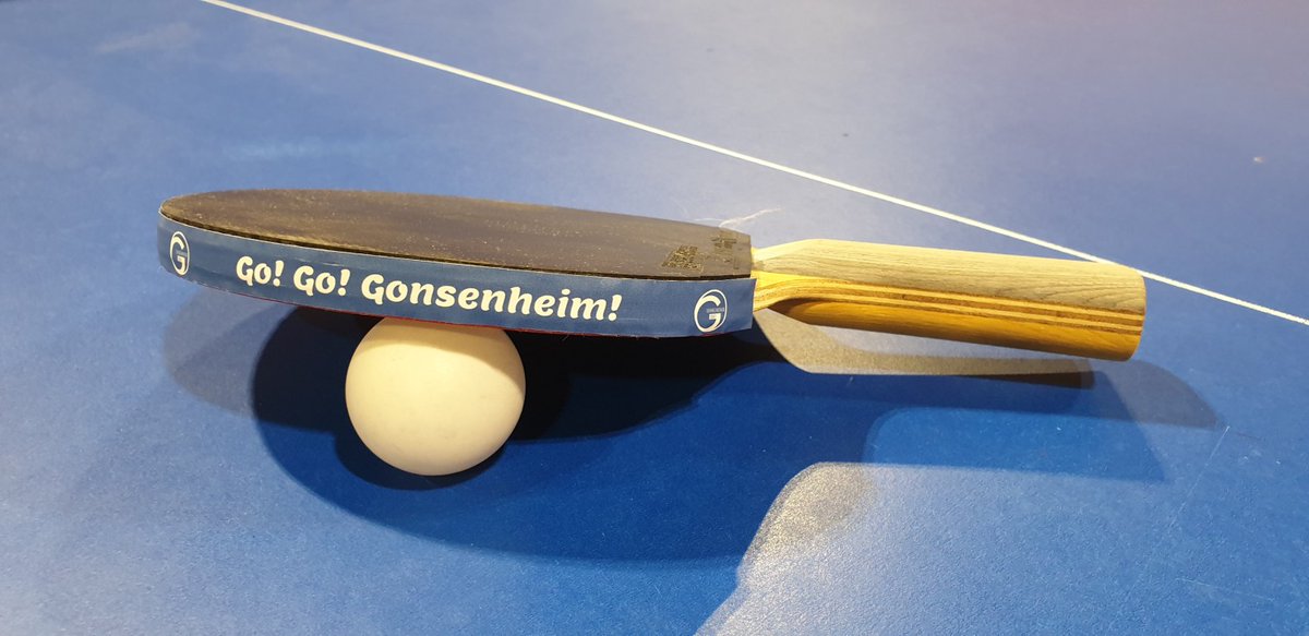 TGMGo Tischtennis Sportangebot im Rahmen der Mainzer Ferienkarte in den Sommerferien 2025 ... tgm-gonsenheim.de/sport/tgm-feri…