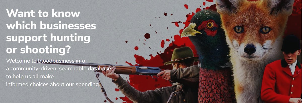 blood_business's tweet image. Pro-wildlife and want to know which venues in the UK and Eire support hunting and/or shooting? We've got you covered - because that's what WE want to. Over 650 venues listed so far! We're at almost 100k homepage views alone now - check us out: bloodbusiness.info