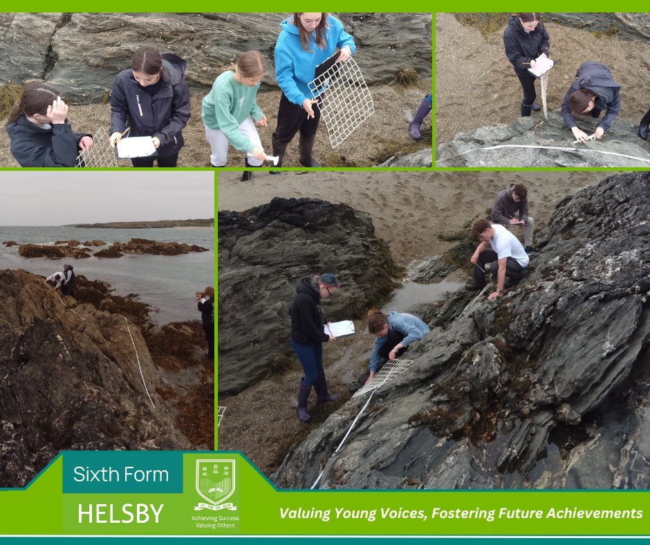 Y12 Biologists have been busy conducting fieldwork.On Monday, they headed to Silver Bay in Anglesey, and on Wednesday they visited local woodland, Delamere forest. Both trips were enjoyed by all, and the students managed to collect lots of interesting and useful data.