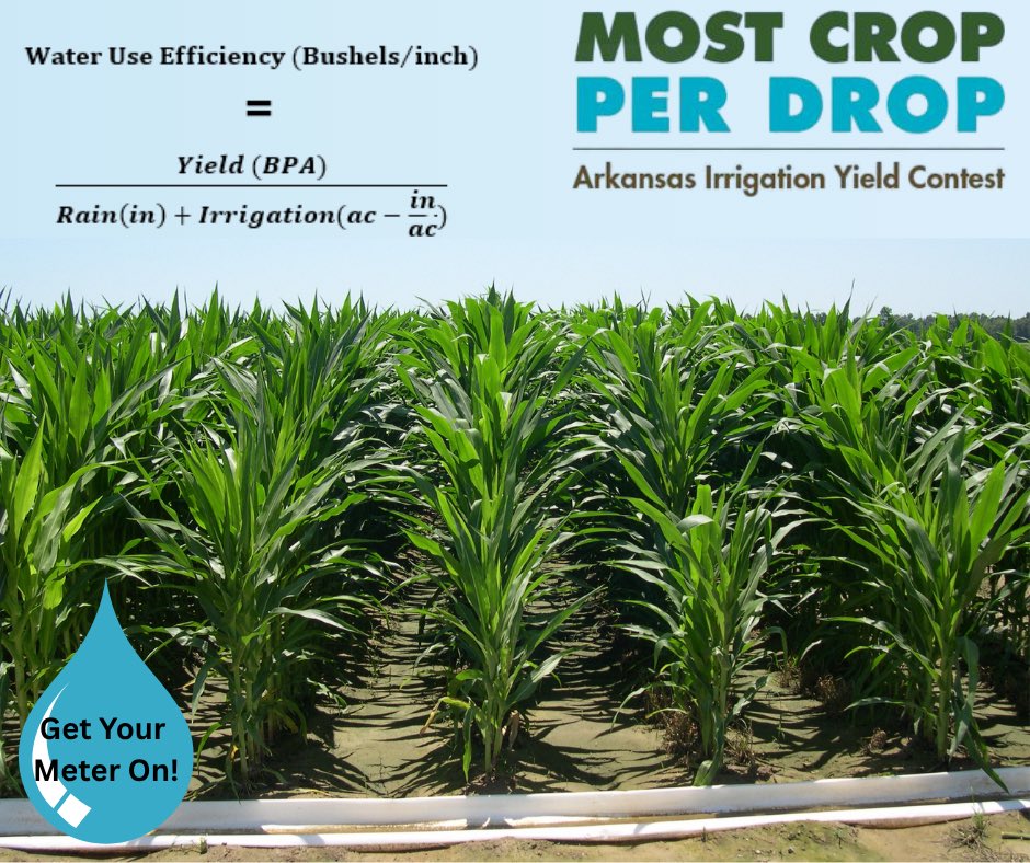 There is still time to enter the Most Crop Per Drop contest! Click on the link to learn more: uaex.uada.edu/environment-na… #Arkansas #arkansasirrigation  #arkansasagriculture #universityofarkansas #UADA