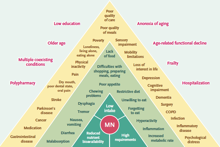 🆕 Ancianos cardiópatas: cómo saber si están malnutridos y cómo tratarlos.

📕 N Engl J Med
🔓 Resumen del artículo en cardioteca.com/cardiologia-cl…