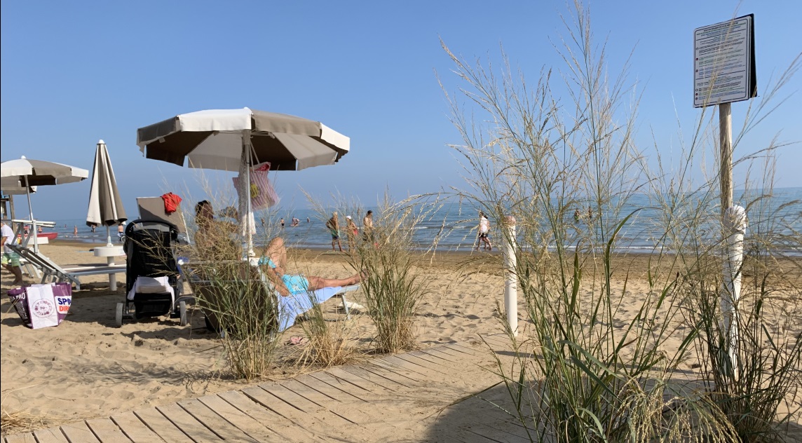 Wohin es die Deutschen 2025 in den Urlaub zieht
Neue Studie von booking.com
Mehr unter reisenundgolfen.de/?set=pages&p=r…
#booking.com # urlaubstrends #bibione #rimini #jesolo #pula #porec #hamburg #malaga #palmademallorca #paris #berlin #barcelona #photooftheday #picoftheday