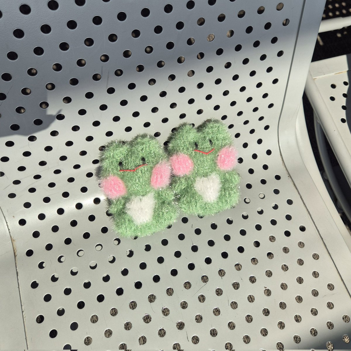 🌞햇빛 쬐는 🐸개구리들🐸