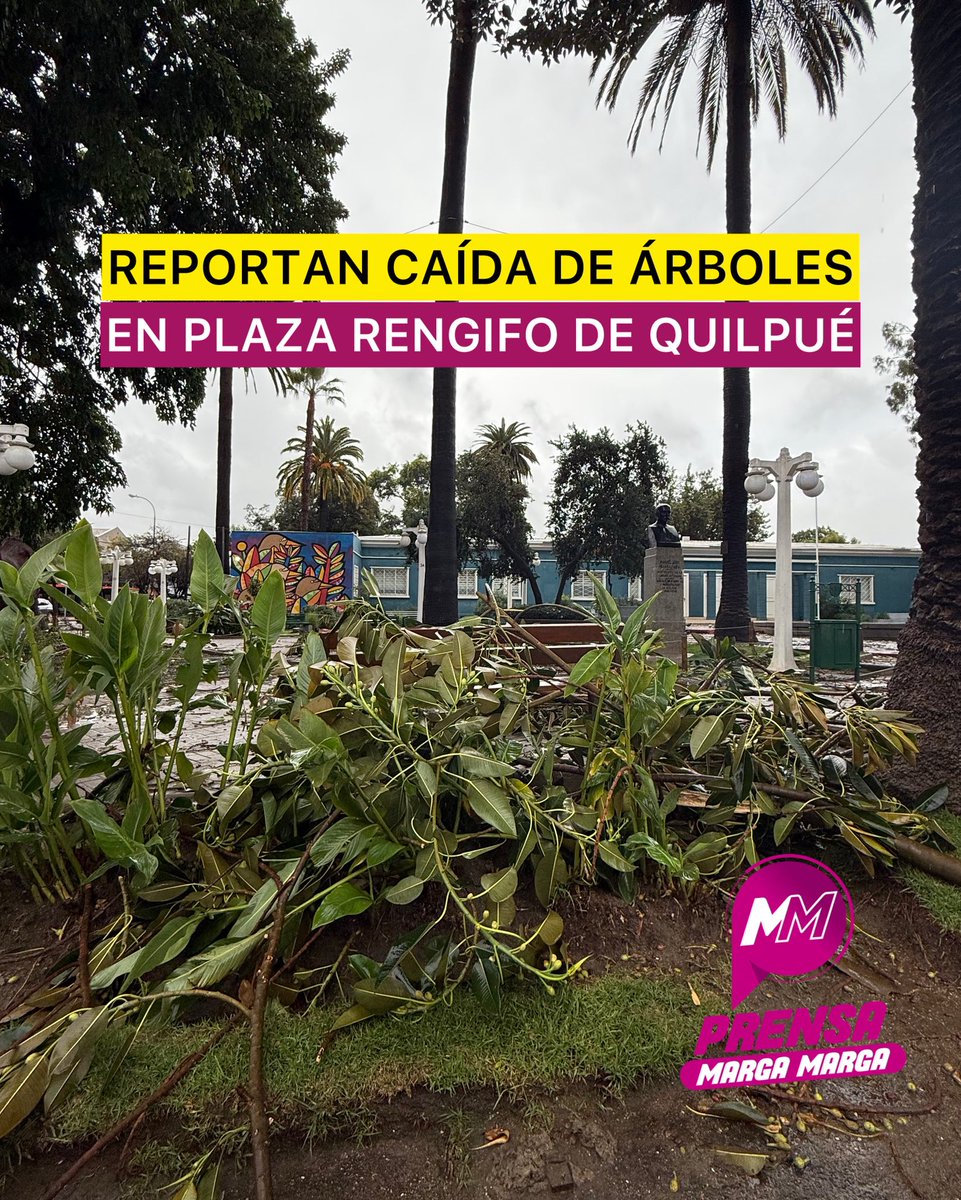 Prensa Marga Marga tweet media