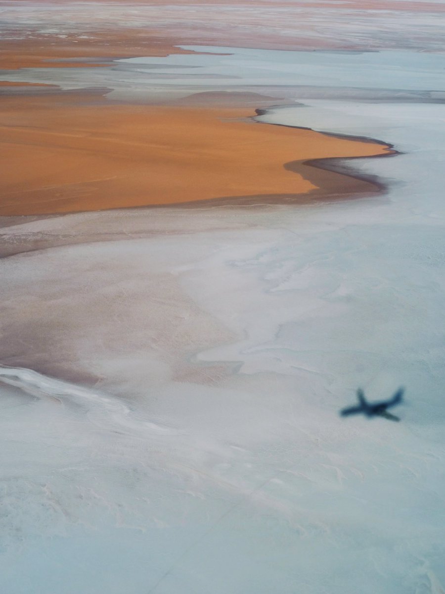 Natsuho Yamanaka tweet media