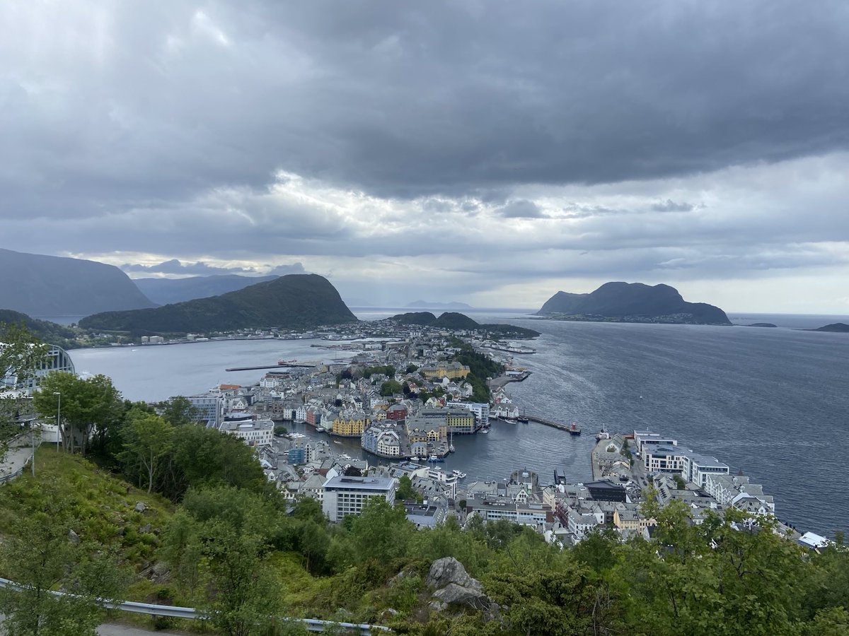 Mark Rowe tweet media