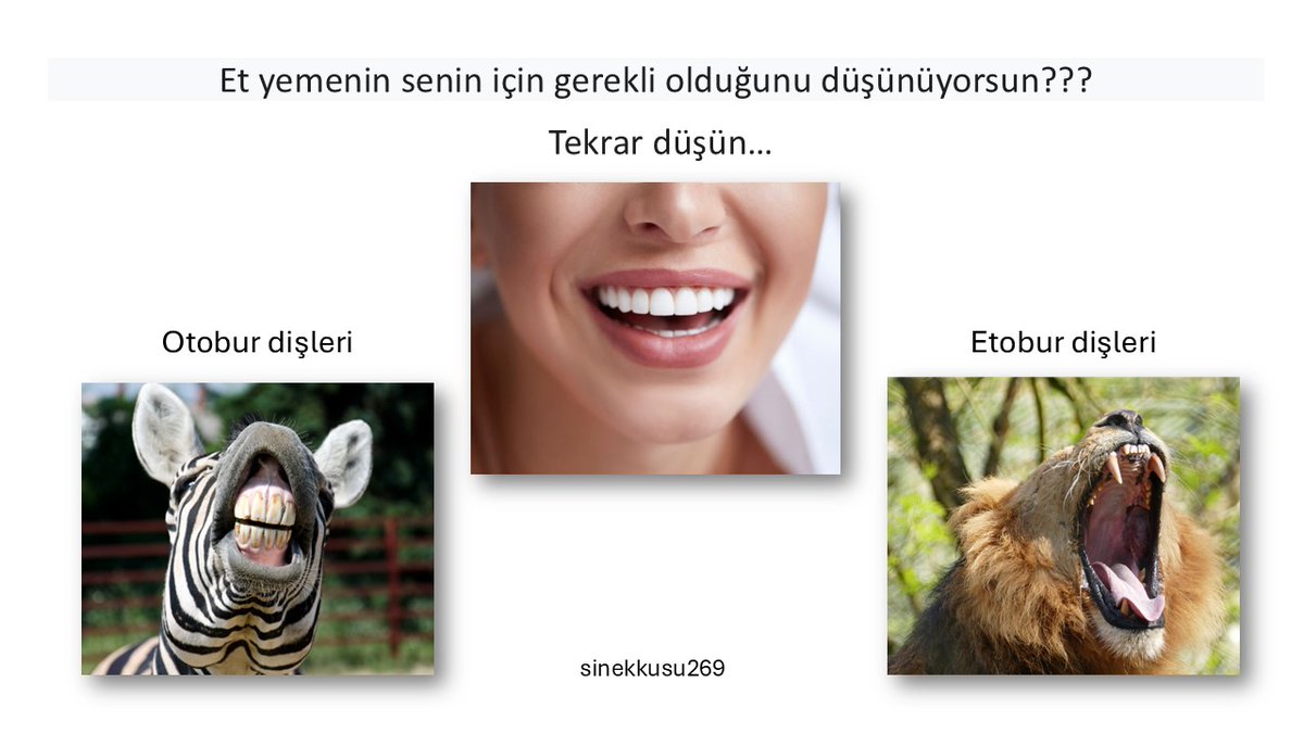 Et yemenin senin için gerekli olduğunu düşünüyorsun???
Tekrar düşün…
Vegan olun, Adaletli olun, Diğerlerini Bilgilendirin
#vegan #vegetarian #deri #bebek #govegan #doğa
#veganism #kuzu #kedi #anne #çocuk #keçi #köpek #inek #süt #tavuk #deve #koyun #boğa #hayvansevgisi