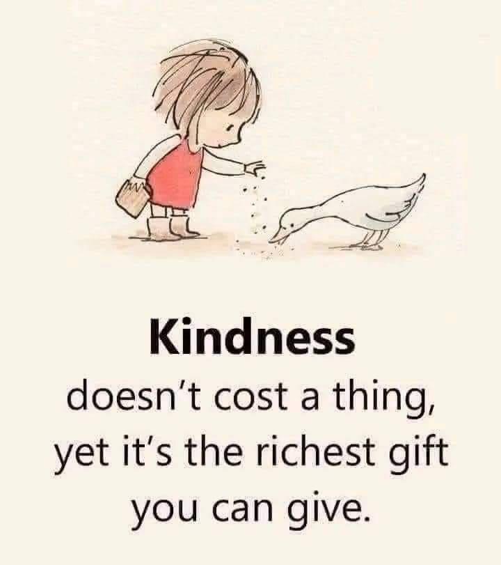 Joey's Ark
 - represents friendship and happiness
 - represents support and care
 - represents compassion and love
Give a little kindness today. This is what #BeingAJoey is all about.