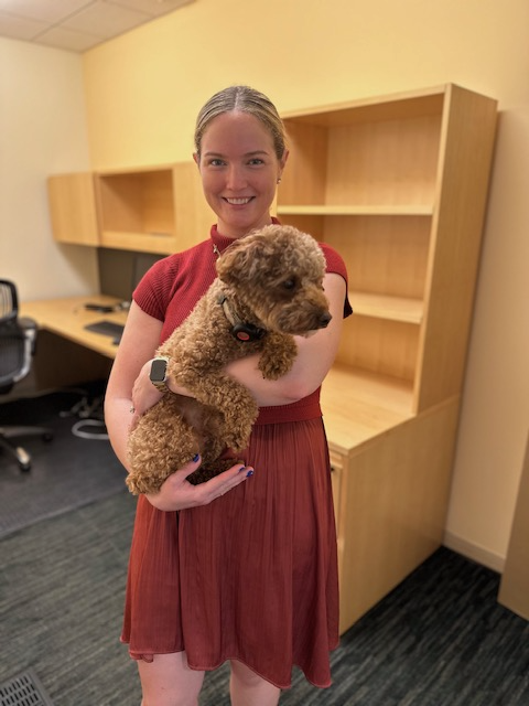 DogsOfKFF tweet media