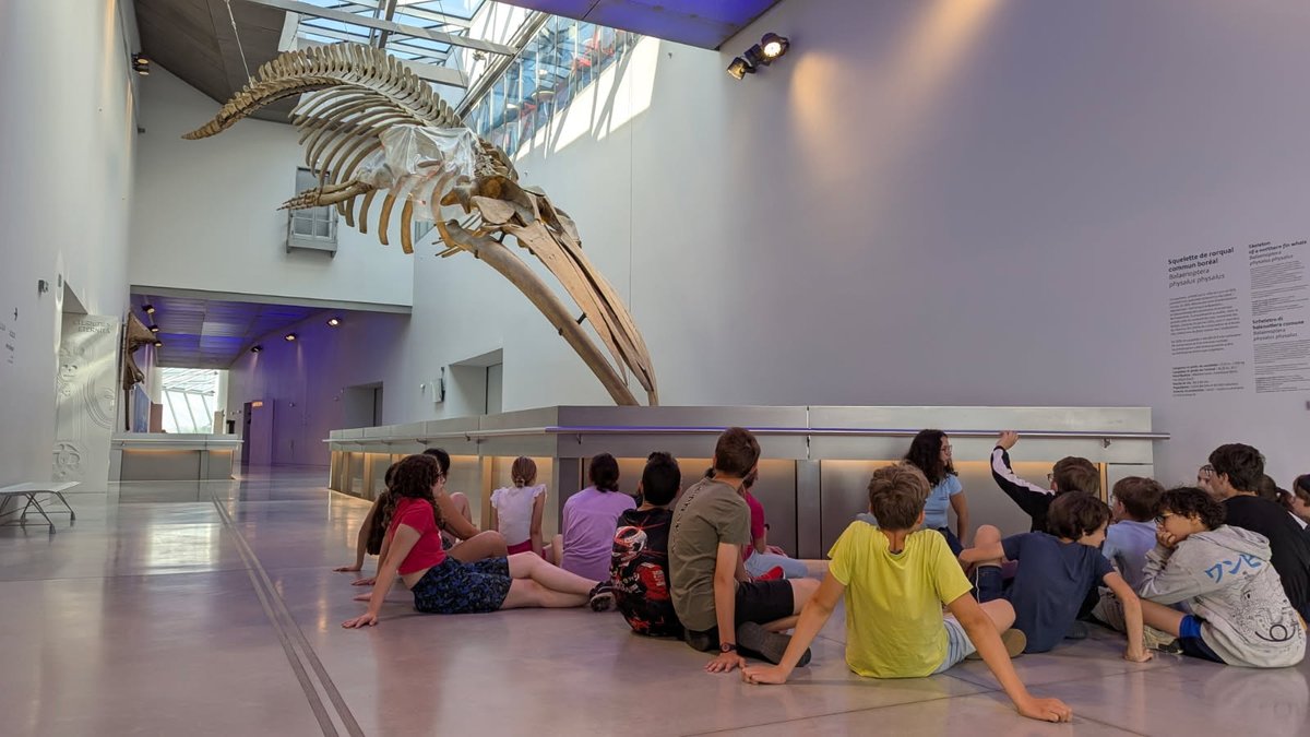 5EME <a href="/villedelyon/">Ville de Lyon</a>  découverte du Musée des confluences @mdc_confluences : exposition temporaire Trop Forts ! et exposition permanente sur les origines. <a href="/Dsden07/">Ardèche-Direction académique</a>