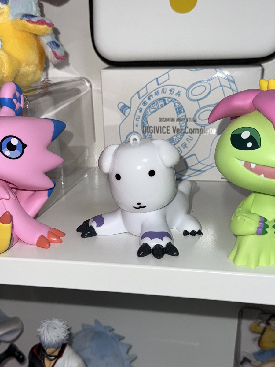 물개 ㅜㅠㅠㅋㅋㅋㅋㅋㅋㅋㅋㅋㅋㅋㅋㅋㅋ