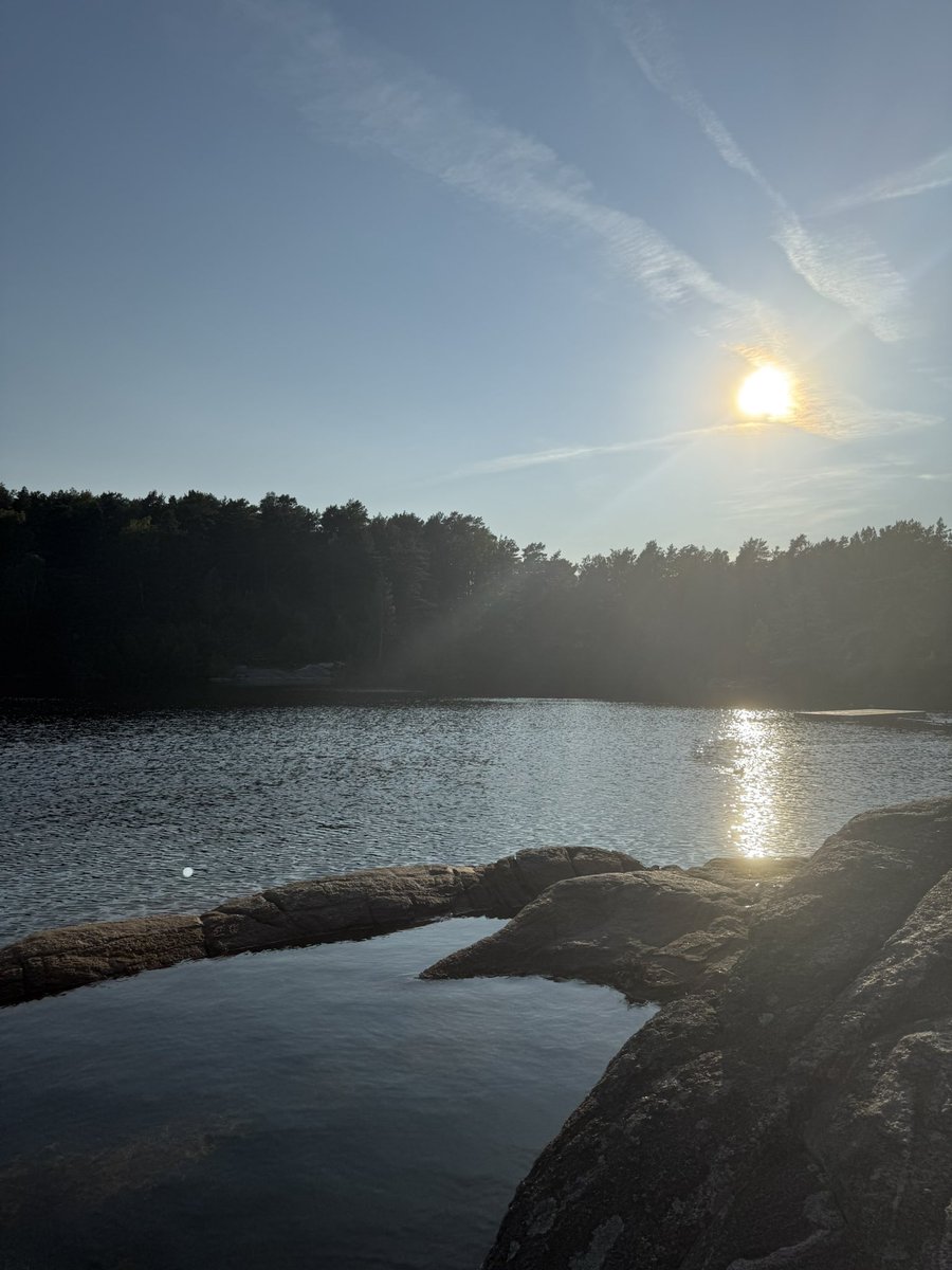 Robin | Branded YouTube tweet media