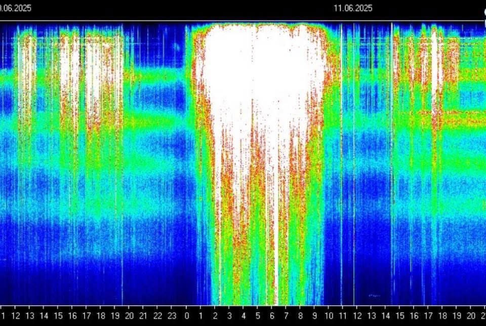 haziq jual ayam tak cucuk tweet media
