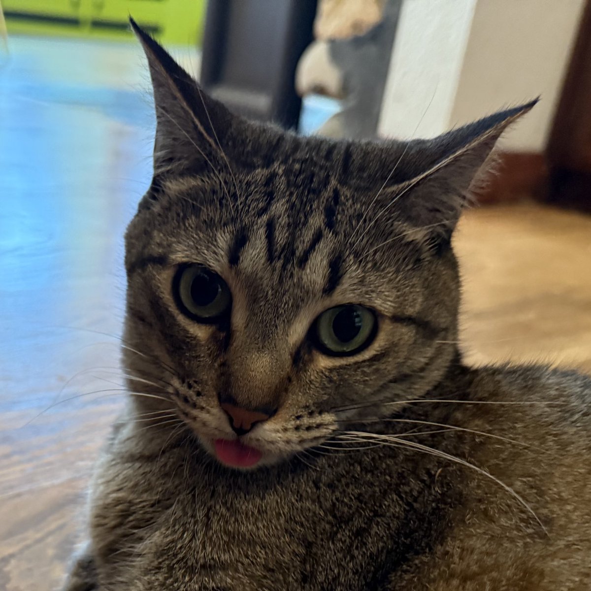 👁️👅👁️