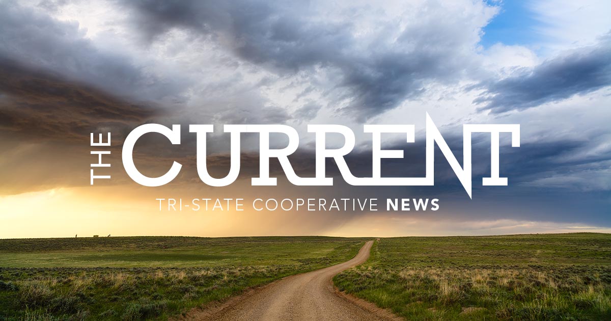 🚨📣 New June Issue: The Current Newsletter ⚡️📰 

Catch up on all things Tri-State ✅ link here: bit.ly/4kAMEXY 

#TriStatecoop #Bettertogether #Cooperative