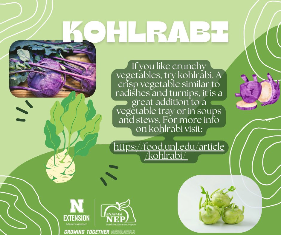 🥬 Love crunchy veggies? Try kohlrabi—crisp like radishes or turnips, it’s great raw on veggie trays or cooked in soups &amp; stews!

🔗 food.unl.edu/article/kohlra…
🌱 food.unl.edu/seasonal-produ…
#Kohlrabi #CrunchyVeggies #EatSeasonal #SNAPedWorks