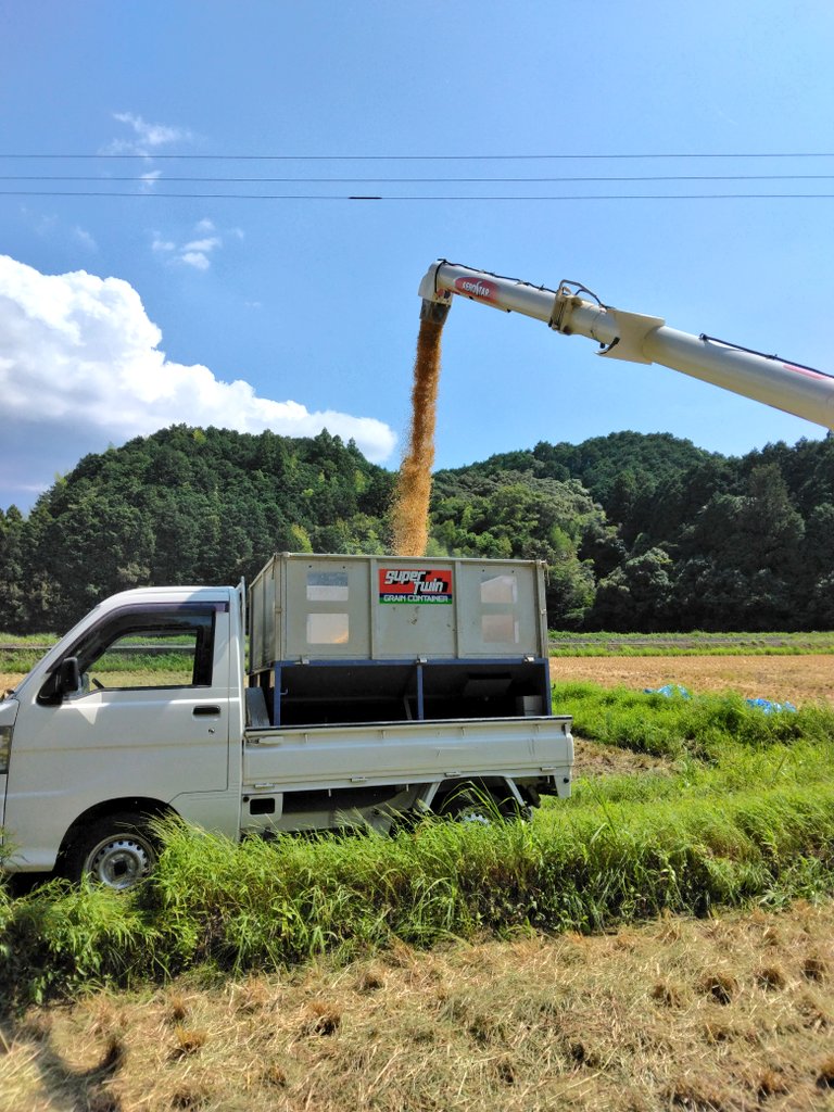 去年の8月に収穫したシルク米約2kg【玄米】送料無料
1名様に #プレゼント企画🍚
＼
🌾応募方法
①いいね
②この投稿をリポスト(RP)

🌾応募締切
 2025/6/15(日)23:59まで
当選者はDMでご連絡

運送会社に用事があるついでに発送
＃高知県産コシヒカリ