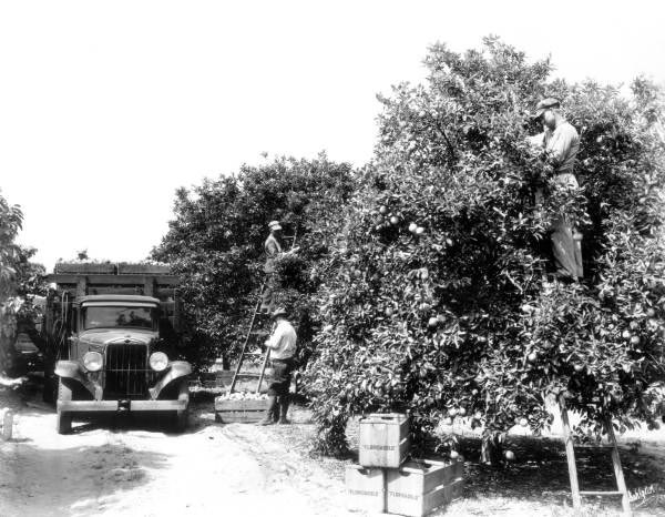 On The Zest Podcast, learn why orange juice still deserves a spot in your fridge. Celéste Walls of the Florida Dept of Citrus explains the drink’s history and offers recipe ideas using OJ. thezestpodcast.com/s11e20/