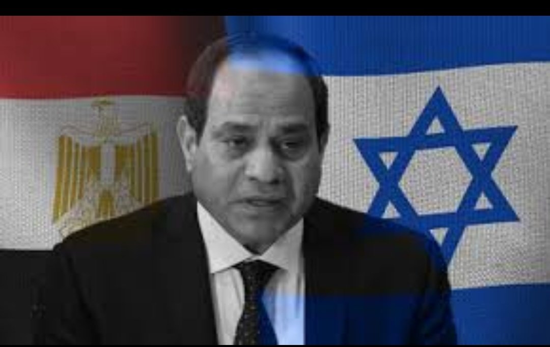 Ne olurdu sanki..
Şu..
Tasmalı İt'in yönettiği ülke..
5-10 günlüğüne..
elimizde olsaydı..

Açsana lan kapıları..
Vicdanına soktuğumun...😡

#FreedomConvoy 🇹🇷🇯🇴
#FreePalestine 🇹🇷🇯🇴