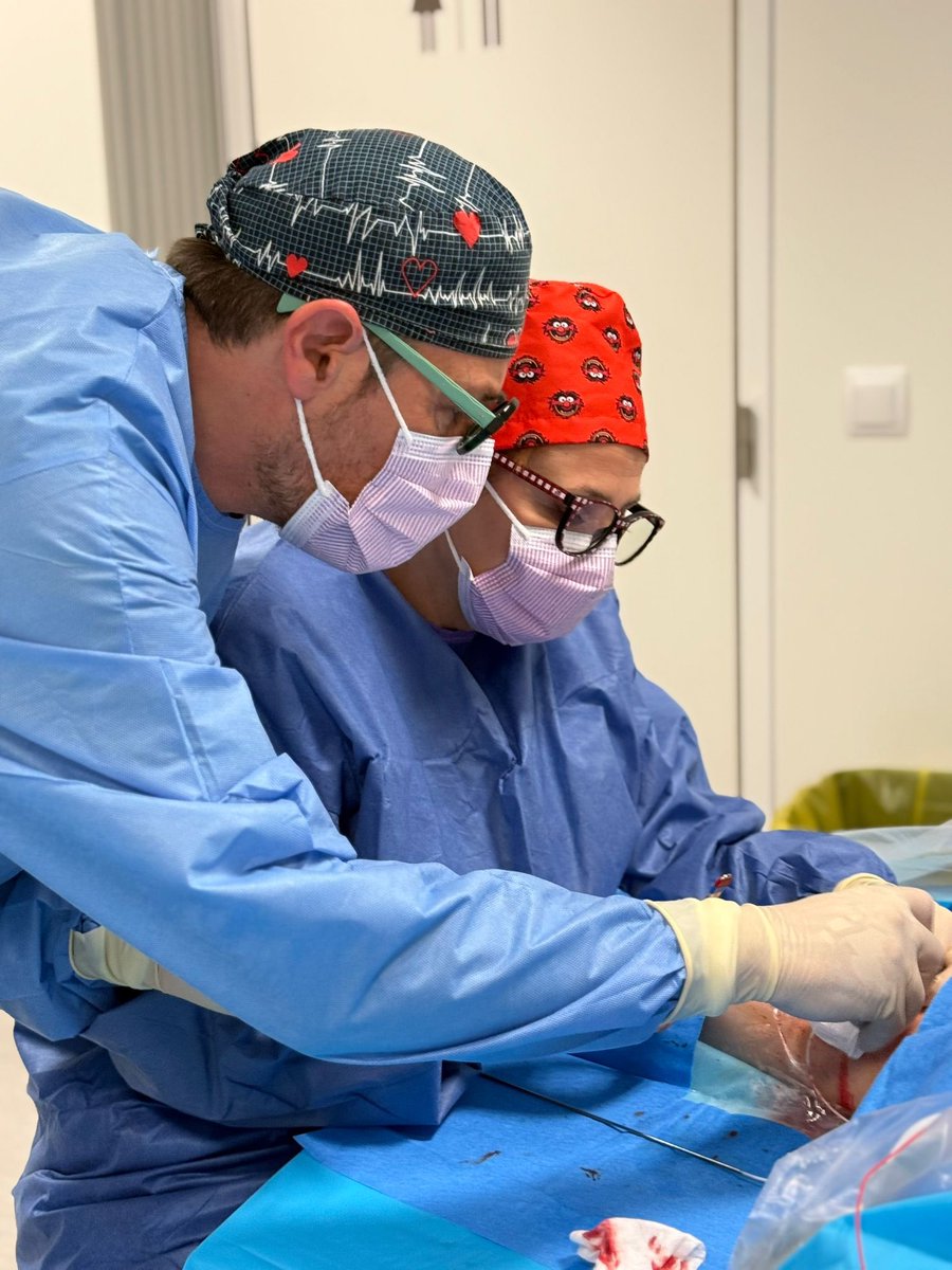 Gisela Arenas tweet media