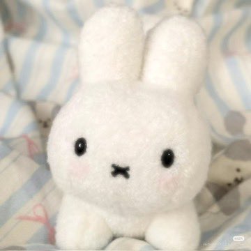폭닥폭닥 끼하니,,°ஂ