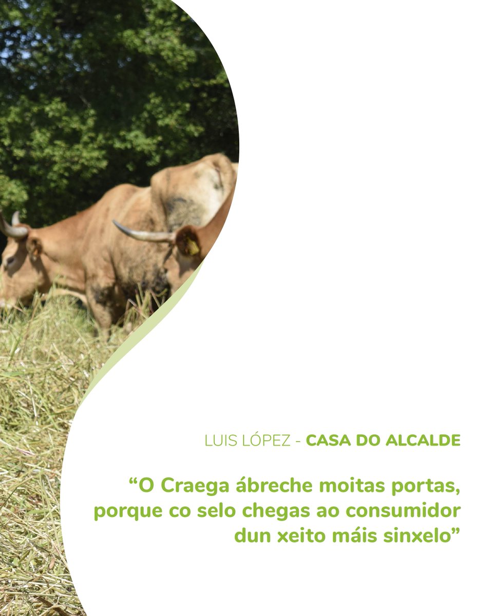 💚 𝗡𝗔𝗧𝗨𝗥𝗔𝗟𝗠𝗘𝗡𝗧𝗘 𝗖𝗢𝗠𝗣𝗥𝗢𝗠𝗘𝗧𝗜𝗗𝗢𝗦 💚

Luis López é o propietario de Casa do Alcalde, unha gandería eco onde crían gando bovino e ovino ✅

▶️Moi atentos mañá das nosas redes e web! 😉 Falamos con Luis sobre a evolución da granxa e da filosofía eco 👏