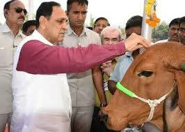 AbhayShah11's tweet photo. भावभीनी श्रद्धांजलि

गुजरात के पूर्व मुख्यमंत्री श्री विजय भाई रूपाणीजी के आकस्मिक और दुखद निधन से हम सभी गहरे शोक में हैं। 

एक प्रखर जीवदया प्रेमी, अबोल जीवों के दुलारे, प्रजा वत्सल और सच्चे लोकप्रहरी के रूप में उनका योगदान सदैव स्मरणीय रहेगा।

प्लेन क्रैश के दुखद हादसे में जान गंवाने वाले को भी हमारी अश्रुपूर्ण श्रद्धांजलि।

इस असहनीय पीड़ा की घड़ी में, हम सभी दिवंगत आत्माओं की शांति और उनके परिजनों को यह दुख सहने की शक्ति प्रदान करने की ईश्वर से प्रार्थना करते हैं।

#VijayRupani @vijayrupanibjp