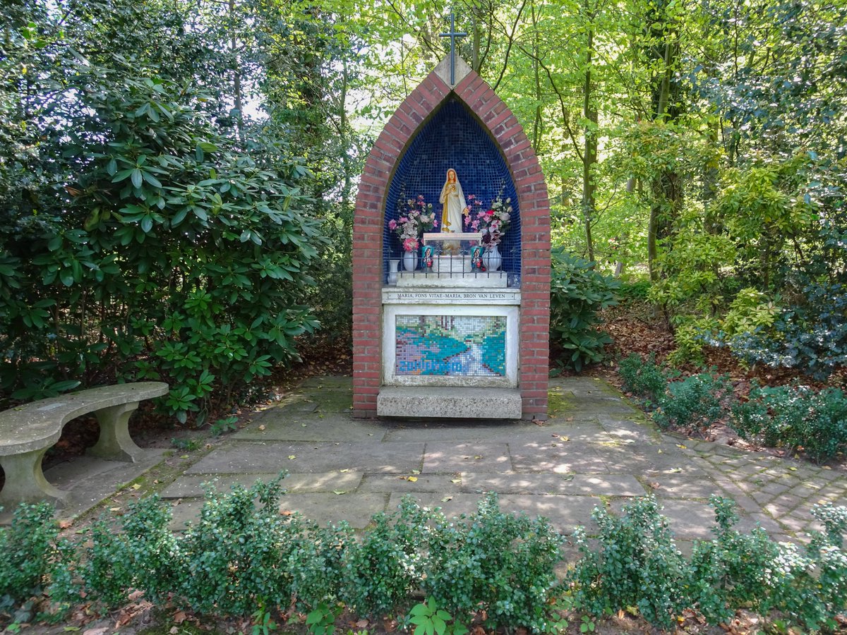 Marleen wandelde het Boswachterspad Springendal met boswachter Kees Jan Westra. Onderweg: zeldzame planten, cultuurhistorische plekken en leefgebied van het vliegend hert 💚. Krijg een blik achter de schermen van <a href="/staatsbosbeheer/">Staatsbosbeheer</a> 👉wandelnet.nl/blogbericht/20…

📷 Marleen Lekkerkerk