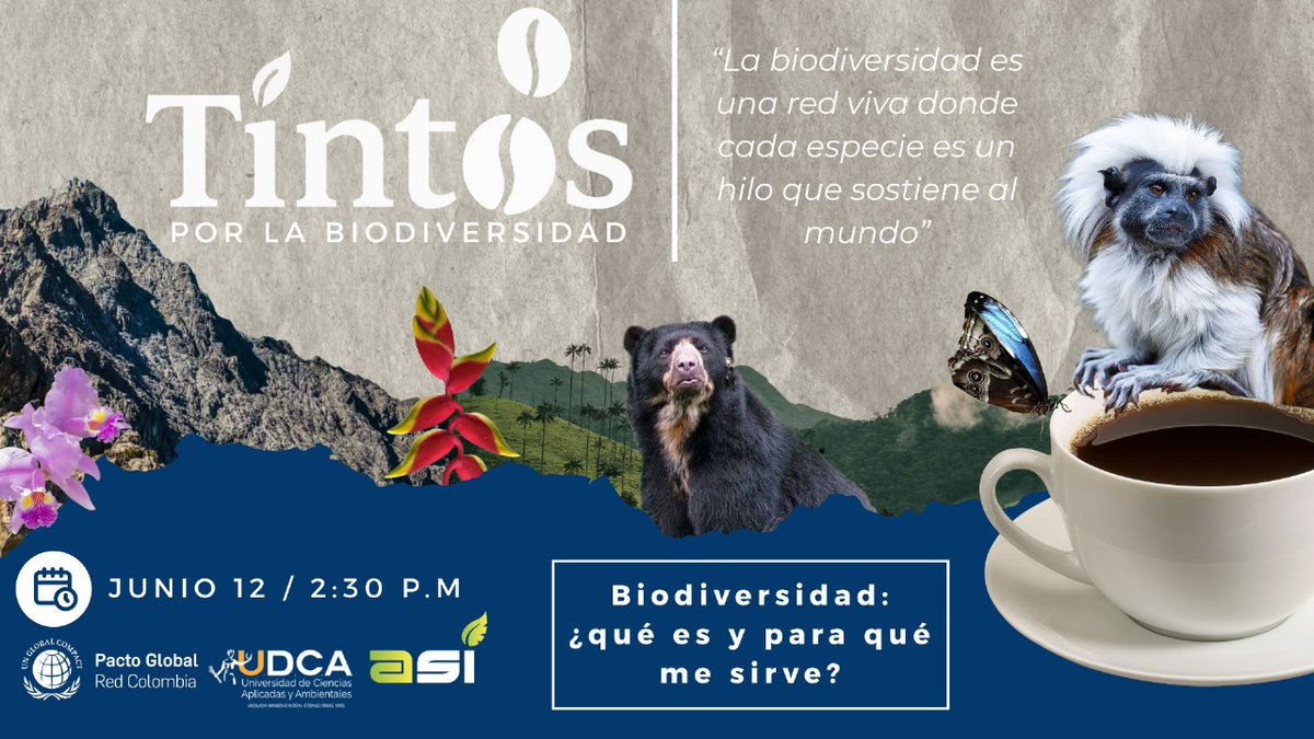 U.D.C.A (@somosudca) on Twitter photo ¿Puede una taza de tinto transformar la visión empresarial sobre la biodiversidad?
Nosotros creemos que sí.
Desde la Mesa de Biodiversidad y Empresa del <a href="/pactocolombia/">Pacto Global Red Colombia</a> , te invitamos a un espacio íntimo para reflexionar y actuar ¿Puede una taza de tinto transformar la visión empresarial sobre la biodiversidad?
Nosotros creemos que sí.
Desde la Mesa de Biodiversidad y Empresa del <a href="/pactocolombia/">Pacto Global Red Colombia</a> , te invitamos a un espacio íntimo para reflexionar y actuar