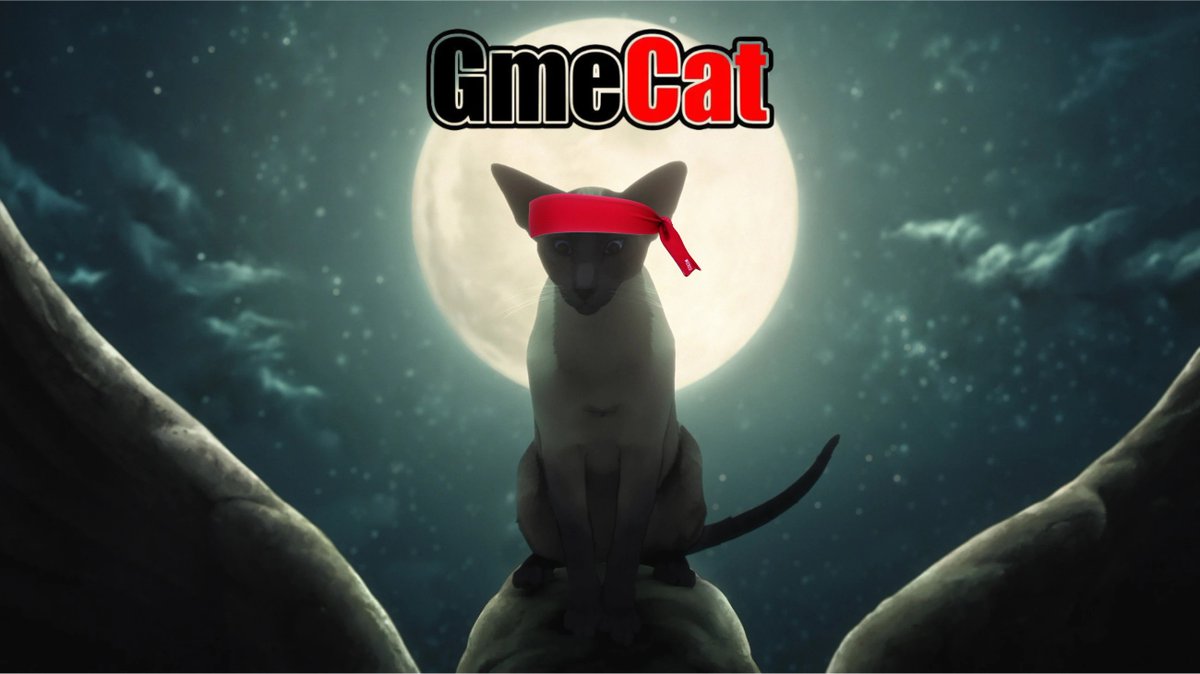 GMECAT tweet media