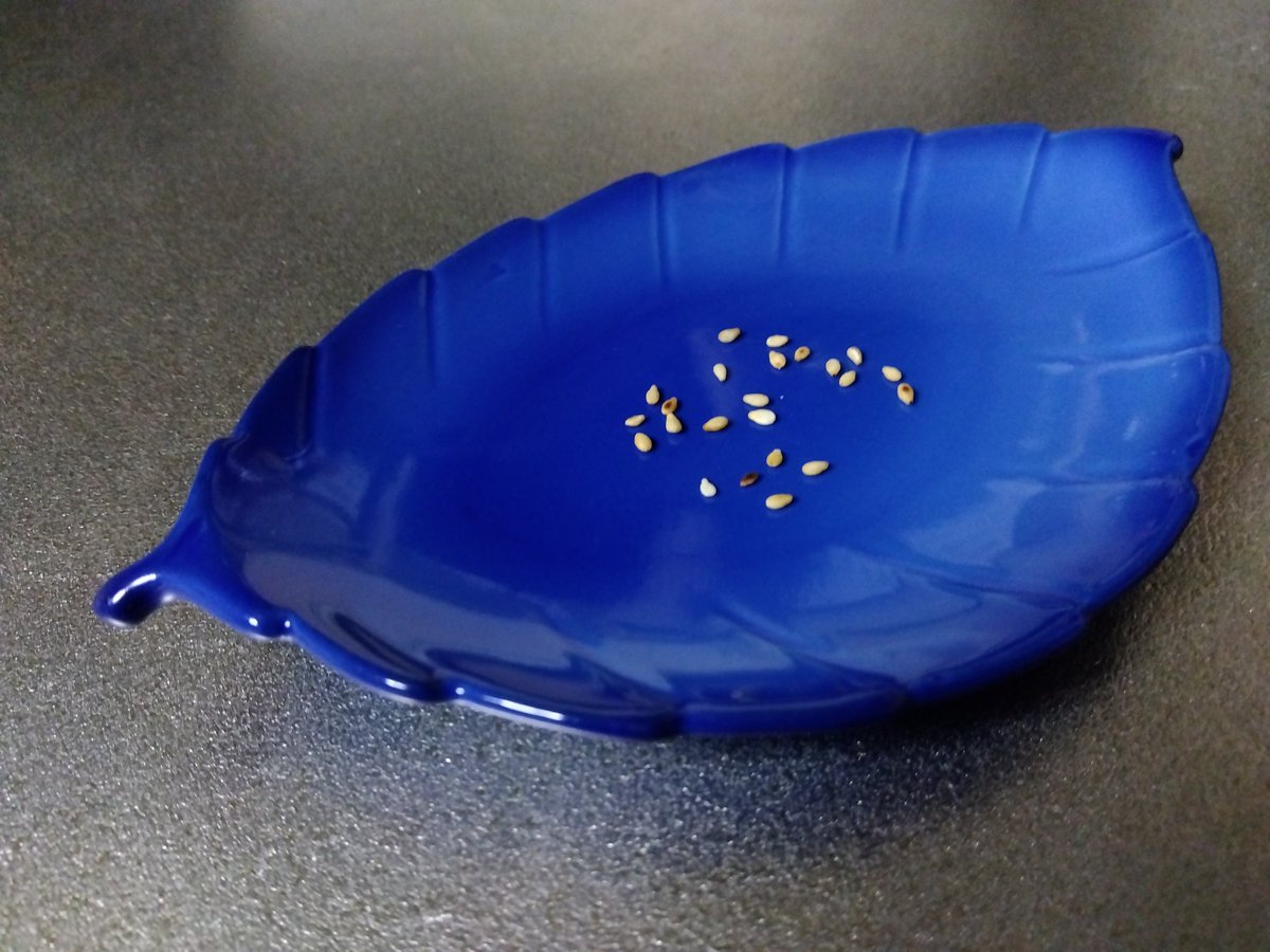 ご協力ありがとうございました﹅