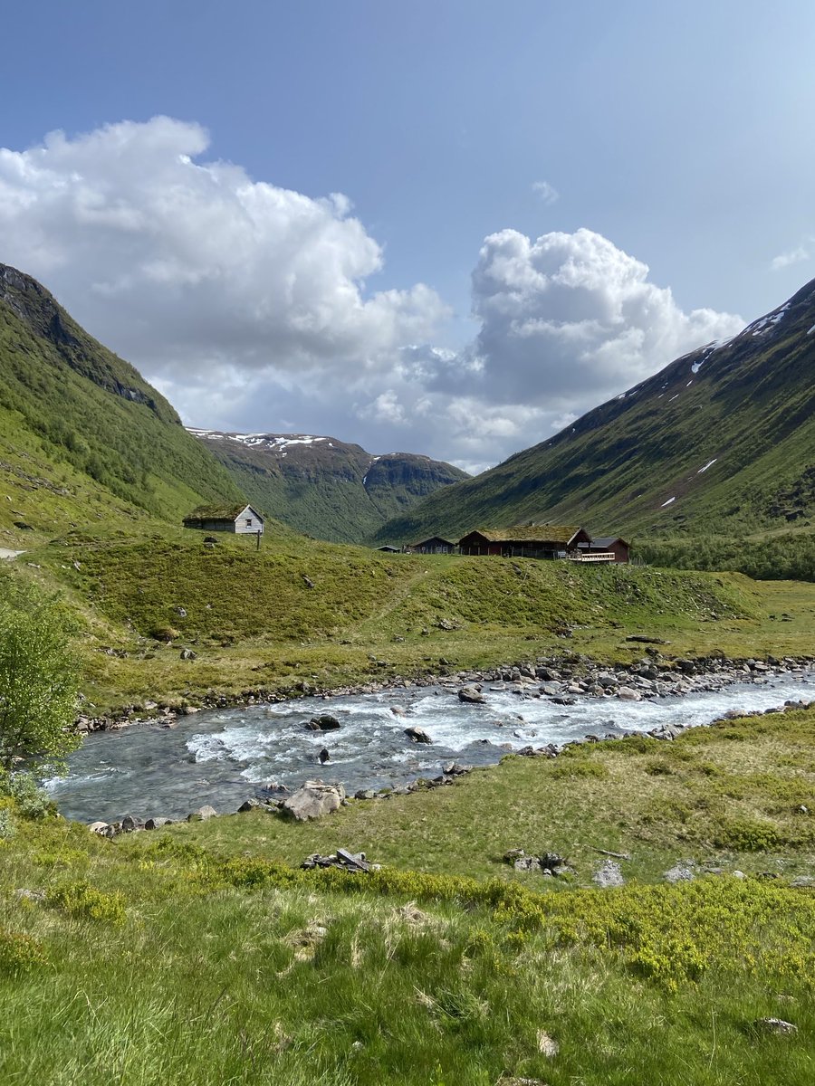 Mark Rowe tweet media