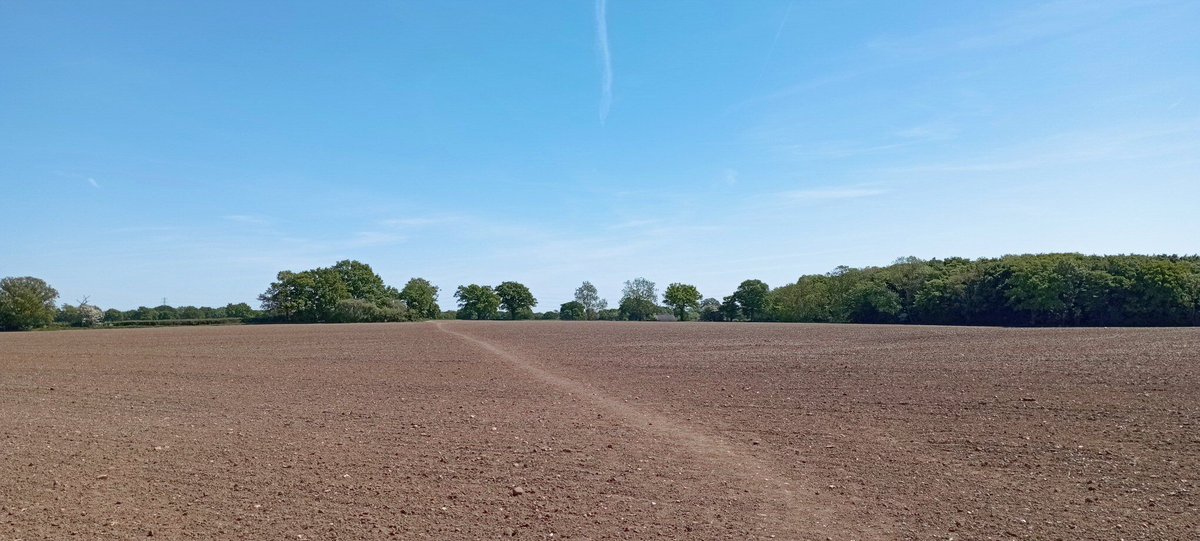 Bit behind on May's #walking: here's some St Peter's Way between East Hanningfield and Purleigh in #Essex:
