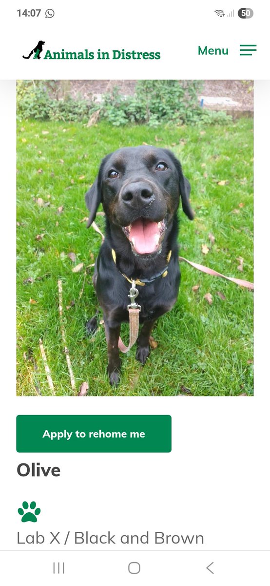 Going to visit Olive on Sunday!😁🤞