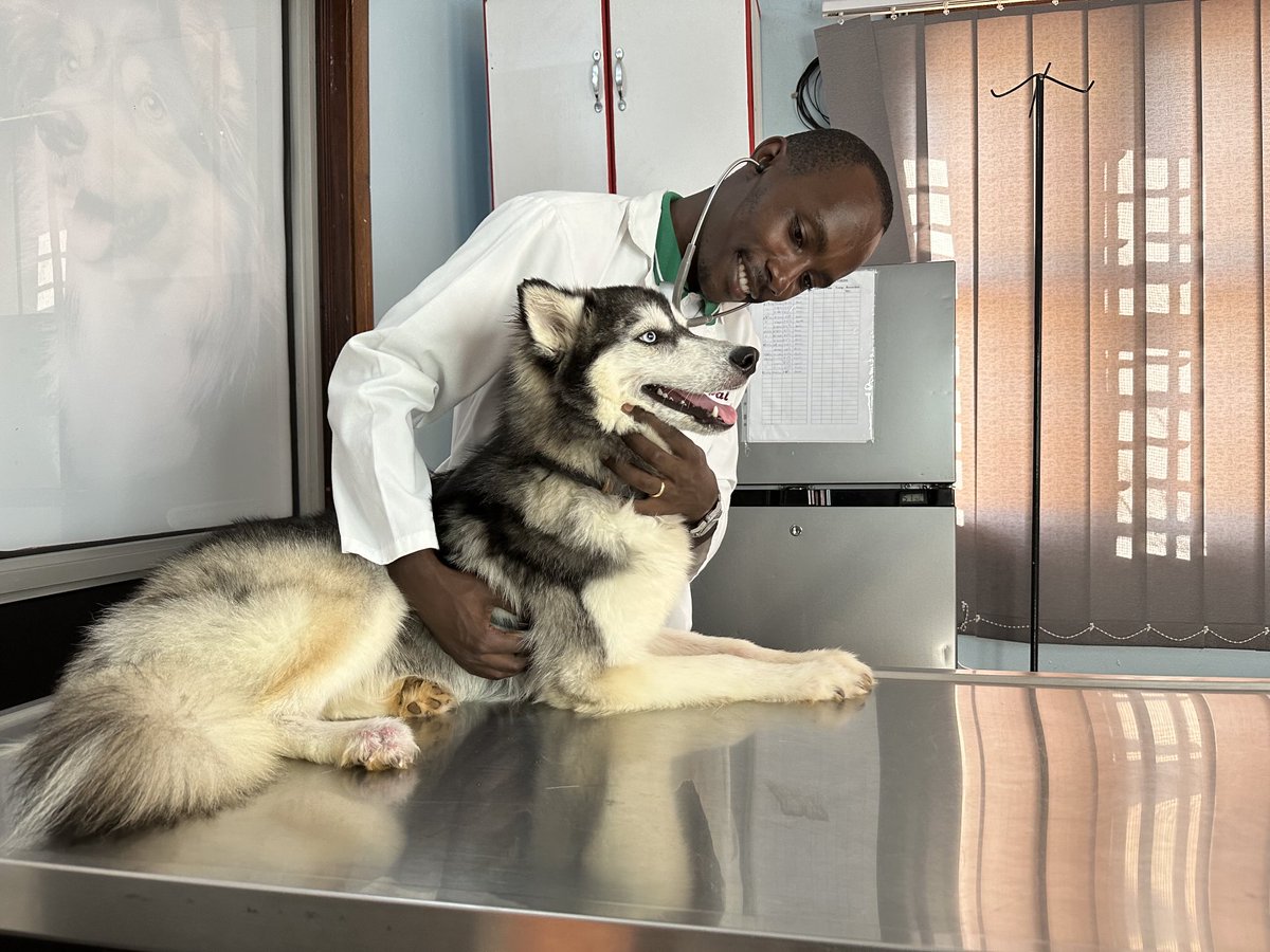Has your pet seen a vet this year for a wellness exam and annual vaccination.? Our Vets are happy to support you on this. Call us on +256 780 301 745