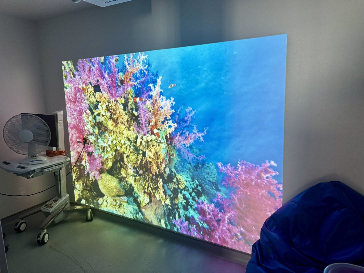 Lancashire Teaching Hospitals Charity (@lanchospcharity) on Twitter photo Thanks to our amazing supporters & a £2,631 donation from <a href="/CPCharity/">Child's Play Charity</a>, our Children’s A&E now has an Omni wall projector! 🧡
It’s helping thousands of children each year with fun, calming visuals & sensory play 🌟
Huge thanks to all who made this possible! <a href="/LancsHospPaeds/">Paediatrics</a> Thanks to our amazing supporters & a £2,631 donation from <a href="/CPCharity/">Child's Play Charity</a>, our Children’s A&E now has an Omni wall projector! 🧡
It’s helping thousands of children each year with fun, calming visuals & sensory play 🌟
Huge thanks to all who made this possible! <a href="/LancsHospPaeds/">Paediatrics</a>
