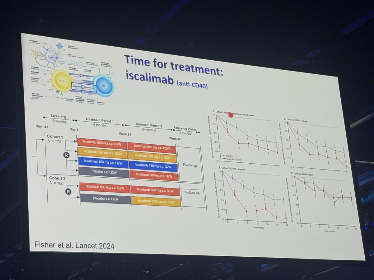CD40 as a target for treatment in primary Sjogren’s Syndrome.  #EULAR2025