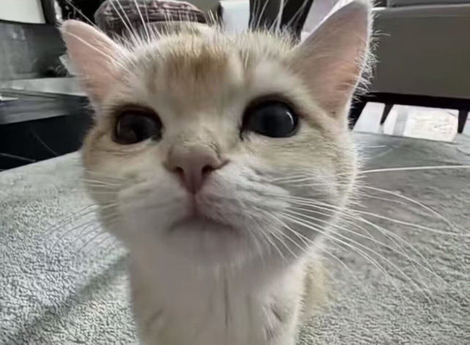 给我来个男人吧。。。。。想上天赐予我一个完美的男人😭