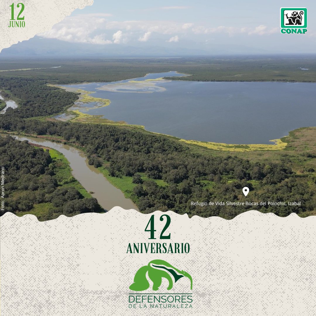 El #CONAP felicita a la Fundación Defensores de la Naturaleza por su 42 aniversario 🥳.
¡Continuemos trabajando por la protección y conservación de la #DiversidadBiológica y las #ÁreasProtegidasGT 🇬🇹!