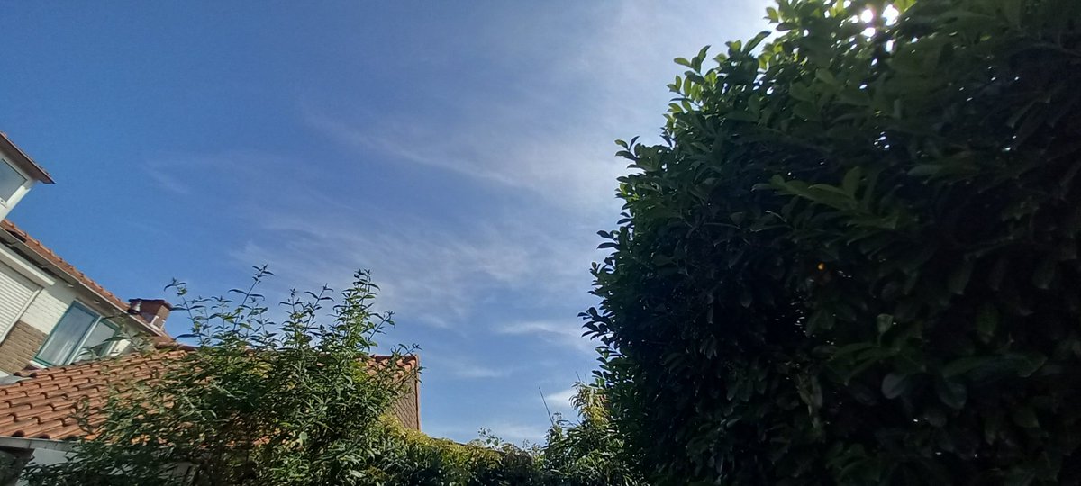 Hennadepenna's tweet image. Genieten jullie ook zo van het heerlijke weer? Blauwe lucht, gestreepte wolkjes, net echt! Fantastisch. Dat doen ze toch goed hoor. #solarradiationmanagement
#geoengineering #lekkerweertje