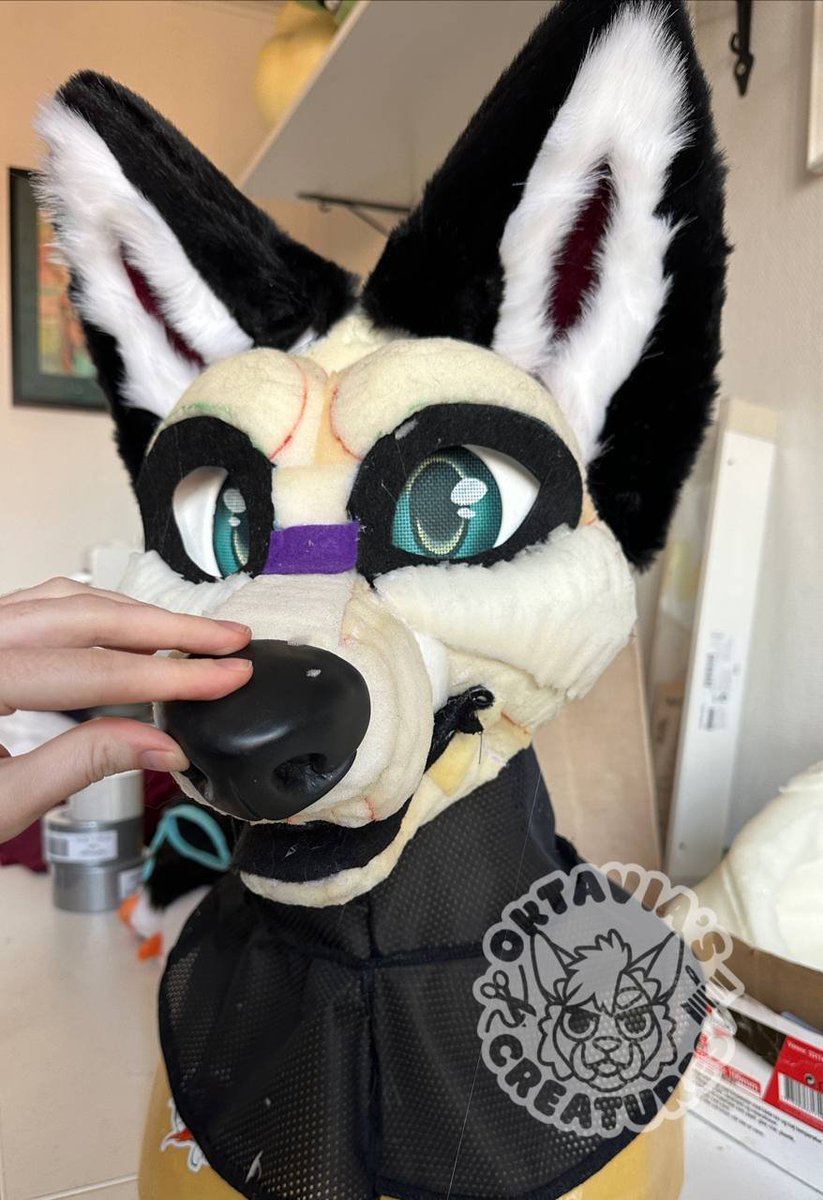 Oktavia’s Creatures (@oktaviascsuits) on Twitter photo Collab with <a href="/UnderDogStudio_/">UnderDog Studio</a>! He’ll be available at EF 👀
Can you guess what species it is? ✨ Collab with <a href="/UnderDogStudio_/">UnderDog Studio</a>! He’ll be available at EF 👀
Can you guess what species it is? ✨