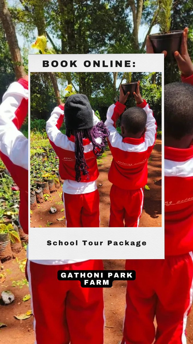 Escape to the serene beauty of Gathoni Park Farm .🍃You can now book unforgettable adventures like guided farm tours, school tours for kids and more. Discover where sustainability meets serenity 🌿🌞

Book tickets now🎟️: kenyabuzz.com/experiences/ga…

#FarmLife #ExploreKenya