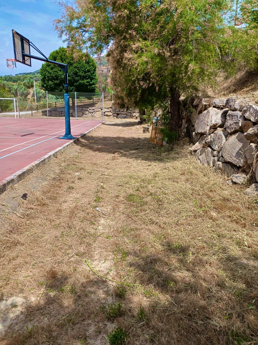 🏞️ Trabajos desarrollados en las Pedanías de #Antequera

🌳 Actuación en La Higuera:
👉🏽 Mantenimiento de zonas verdes, espacios próximos a la carretera e instalaciones deportivas 

Seguimos trabajando por los vecinos de nuestras pedanías