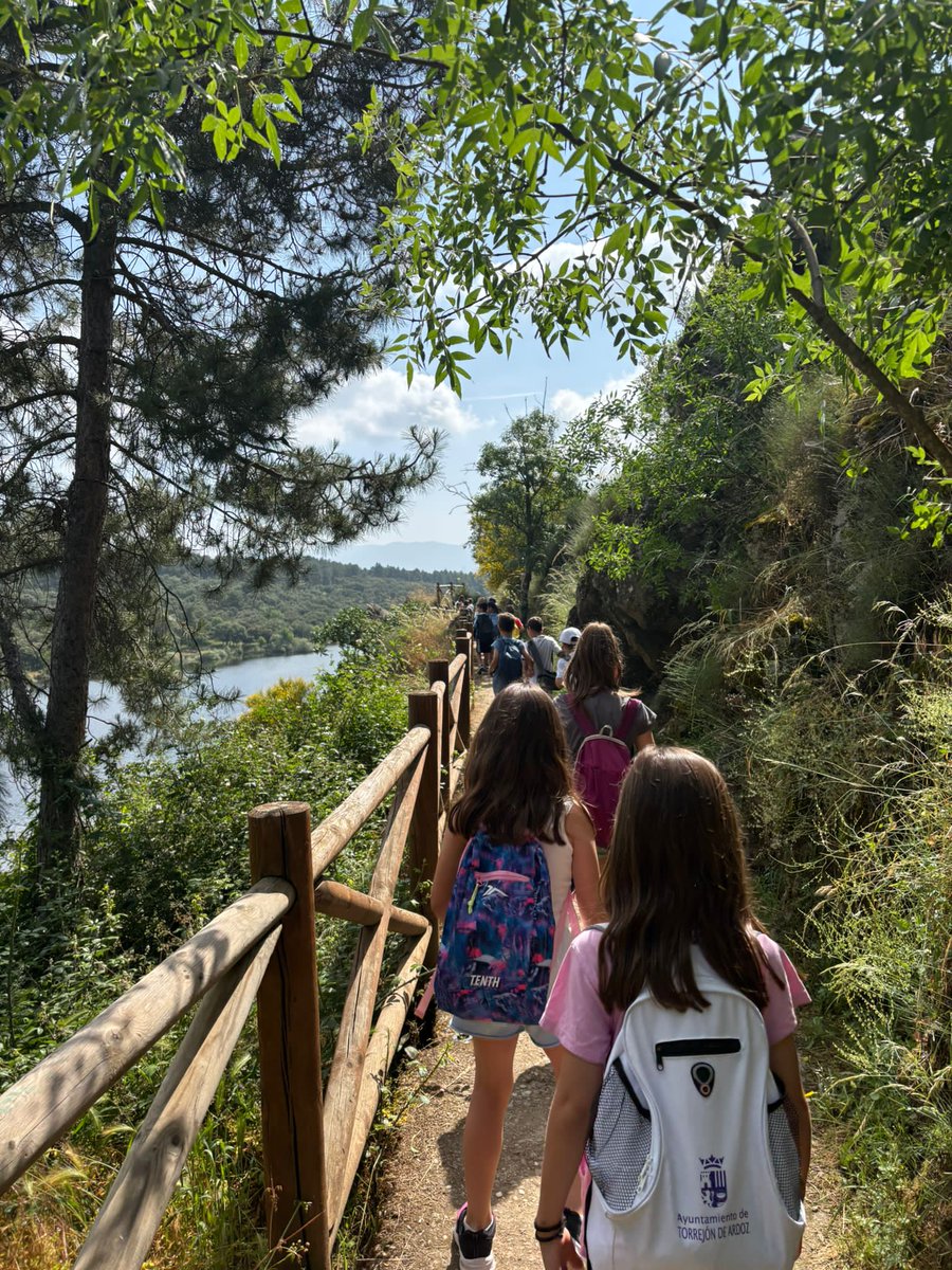 IvanHBST tweet media