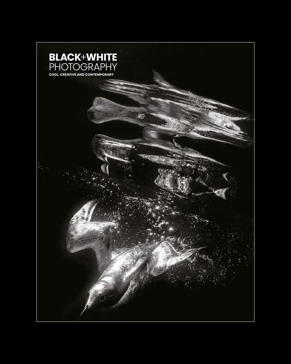 B+W 303 is now on sale! Highlights include: Karey Walter’s mythical animal portraits; Mandy Barker’s latest environmental project; Joakim Kocjancic’s series on Bucharest; and Kevin Pineda Gould’s arresting street photography.

Cover © Nur Tucker

See more: bit.ly/47icR7x